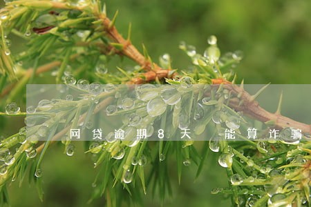 网贷逾期8天 能算诈骗吗